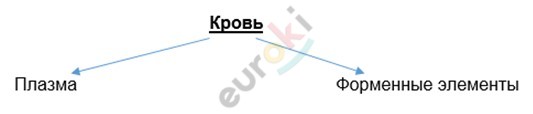 Line chart Description automatically generated with low confidence