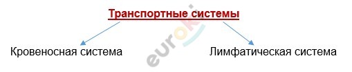 Graphical user interface, text Description automatically generated
