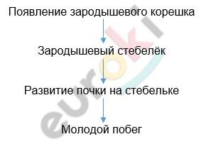 Timeline Description automatically generated