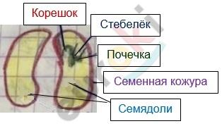 Diagram Description automatically generated